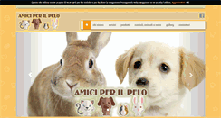 Desktop Screenshot of amiciperilpelo.net